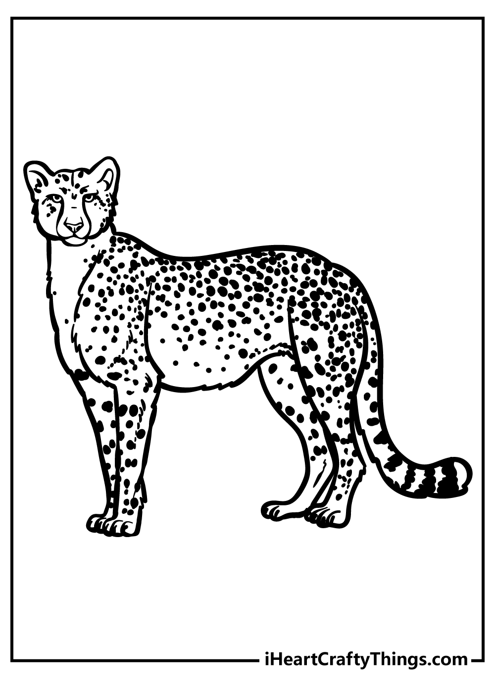 full size cheetah coloring sheet