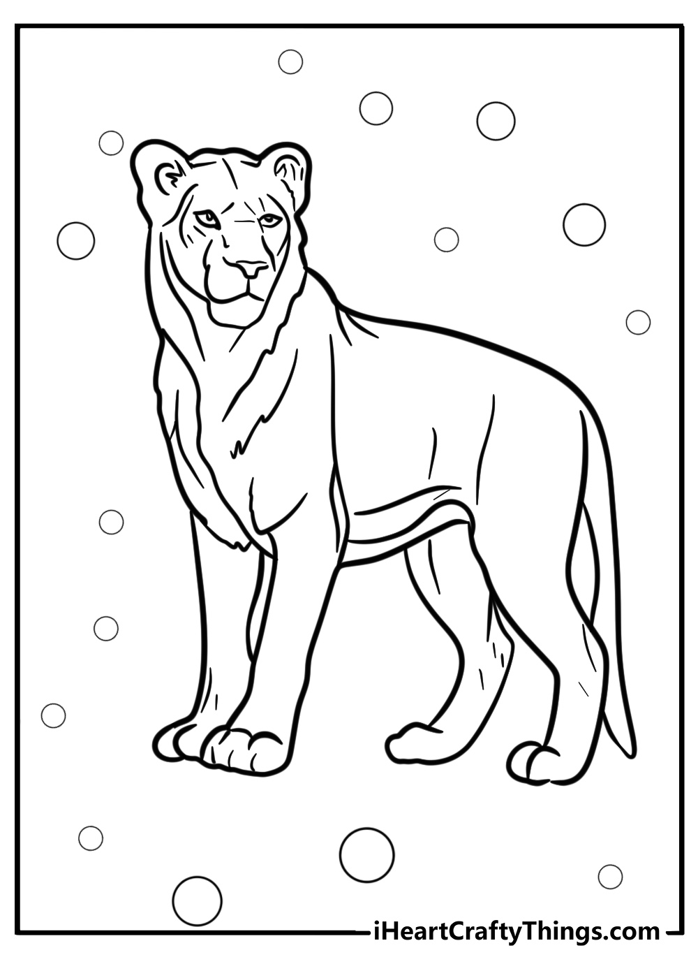 Lioness coloring pages