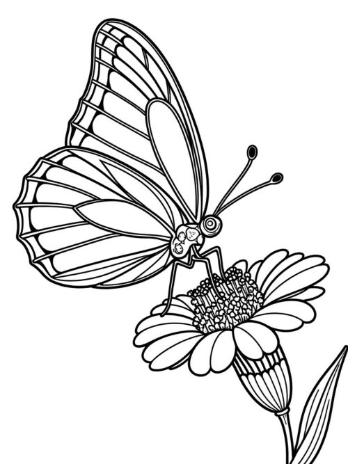 Butterfly resting on a blooming flower