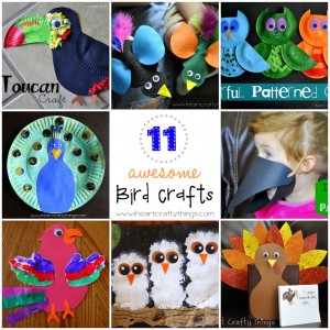 BirdCrafts