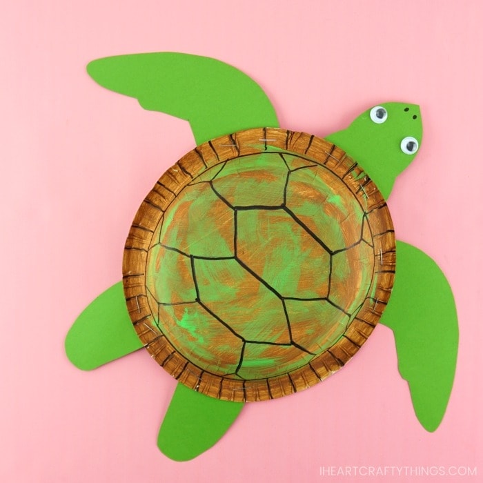 sea turtle craft made out of a paper bowl sitting on a pink background