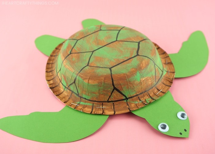 horizontal zoomed in front view image of sea turtle craft