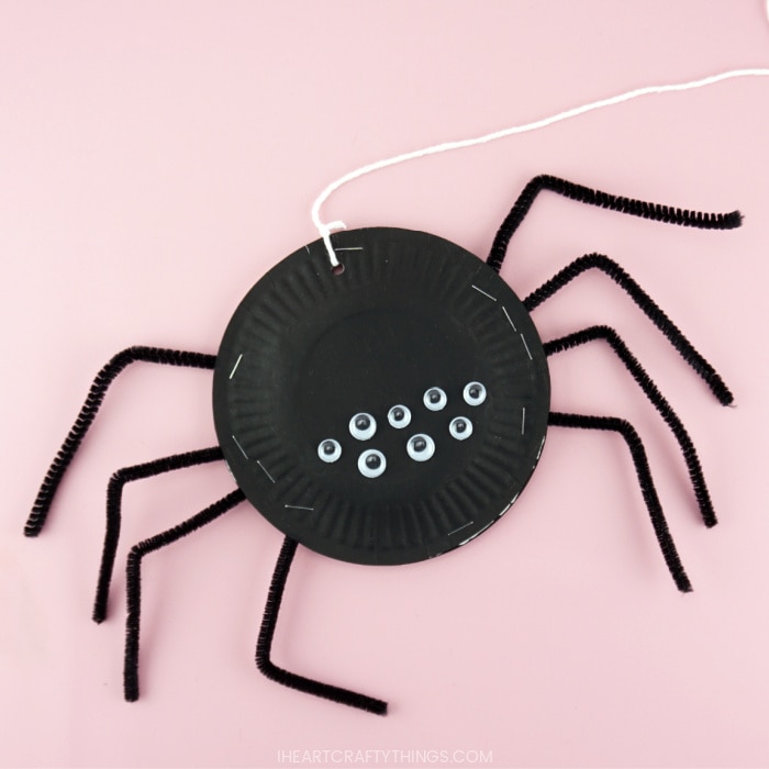 Black paper plate spider laying flat on a pink background.
