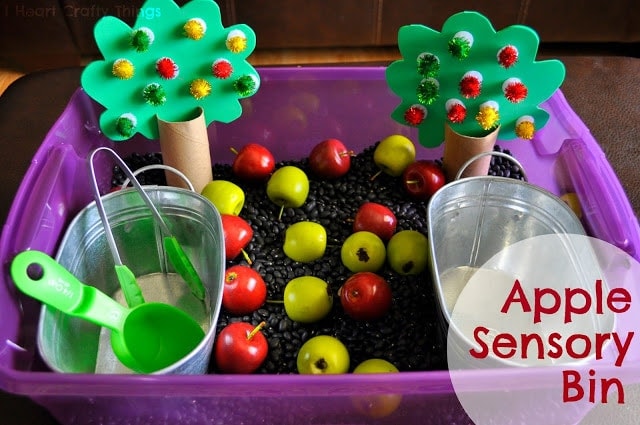 Apple Sensory Bin