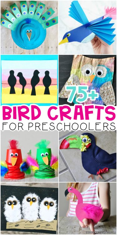 75+ Awesome Bird Crafts For Preschoolers -The Ultimate Resource! - I ...