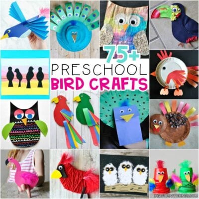 75+ Awesome Bird Crafts For Preschoolers -The Ultimate Resource! - I ...