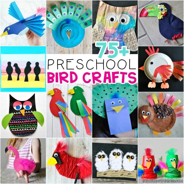 75+ Bird Crafts for Preschoolers -Ultimate list of birds activities for kids of all ages. Common birds, tropical birds, peacocks, owls, penguins and more.