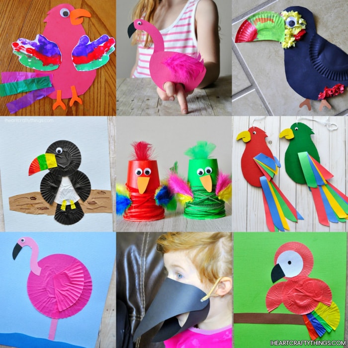 75 Awesome Bird Crafts For Preschoolers The Ultimate Resource I   Tropical Bird Crafts 