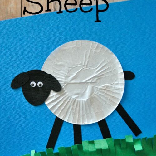 Sheep Craft for Kids