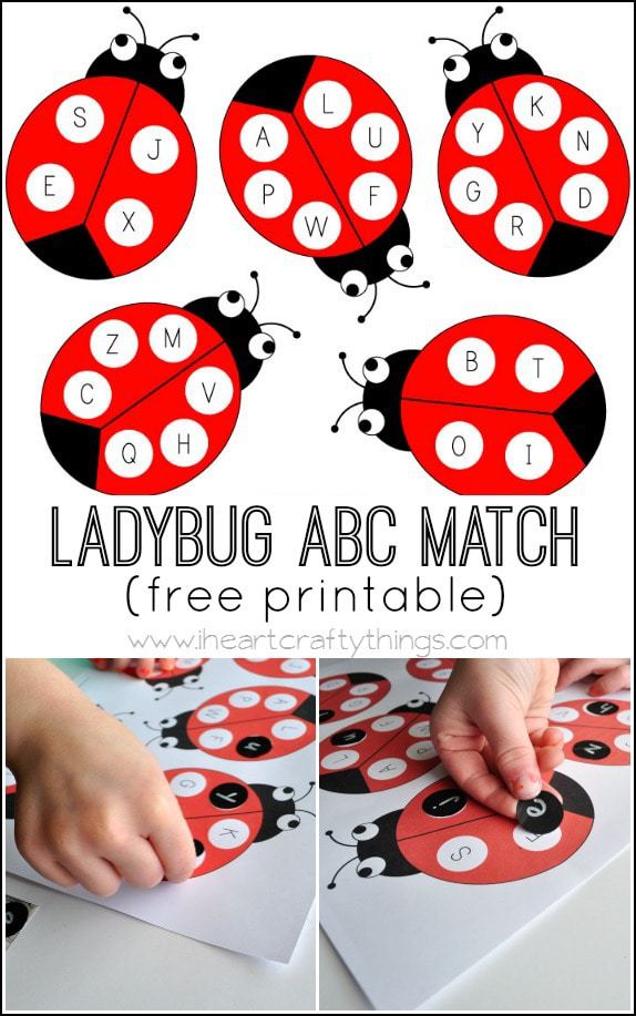 Ladybug ABC Match