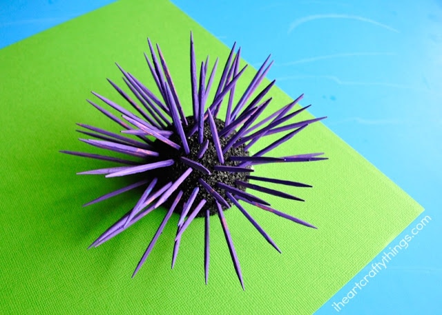 sea urchin kids craft 2