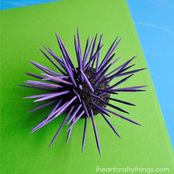 sea urchin kids craft 3