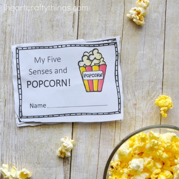 My Five Senses and Popcorn preschooler book stapled together and laying on a faux wood background with popped popcorn around it.