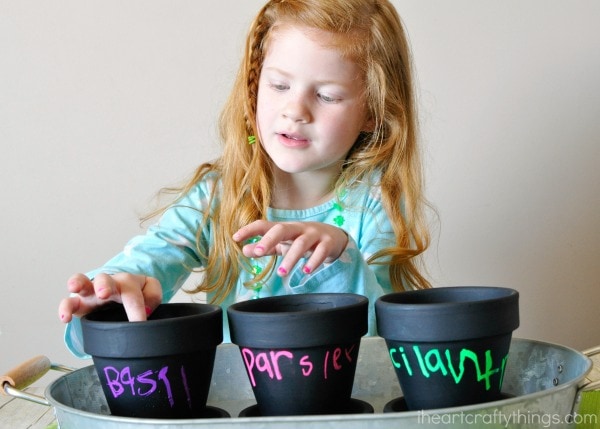 How to make a children's herb garden with gro-ables