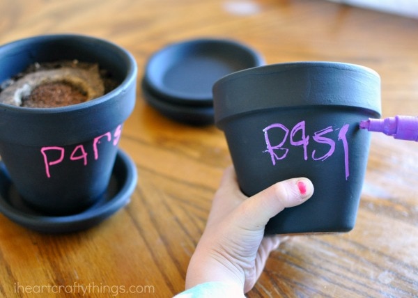 labeling your children's herb garden pots