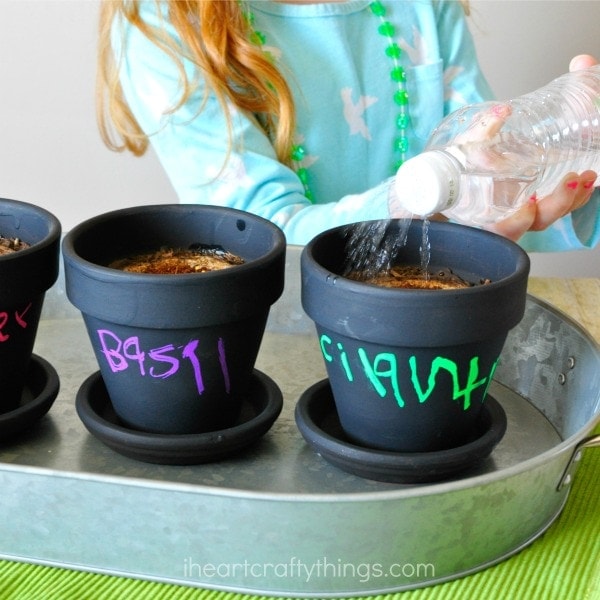 watering your children's herb garden