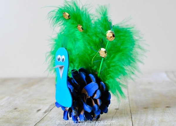 pinecone-peacock-craft-3