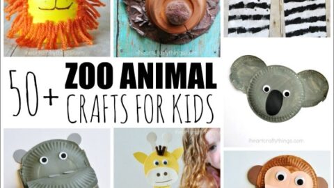 Summer is the perfect time to visit your local zoo, and what better way to bring the fun home than by making one of these 50+ zoo animal crafts for kids.