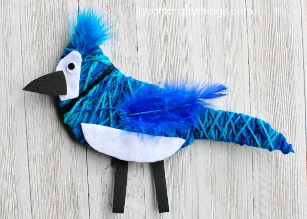 yarn-wrapped-blue-jay-craft-2