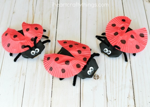 cardboard tube lady bug craft 6