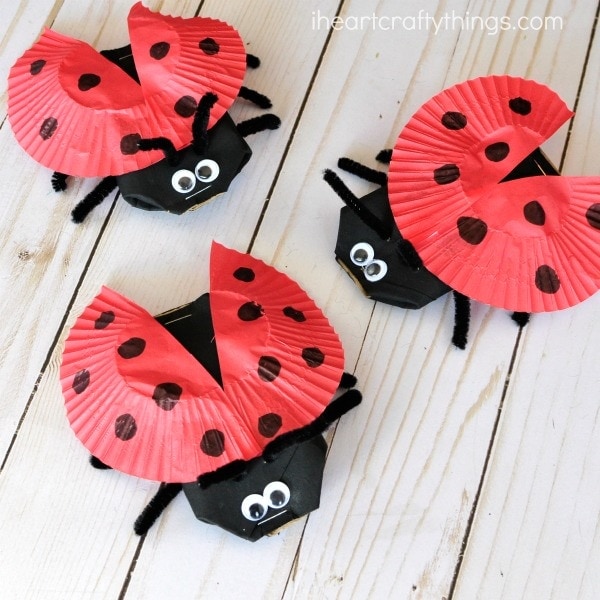 cardboard tube lady bug craft