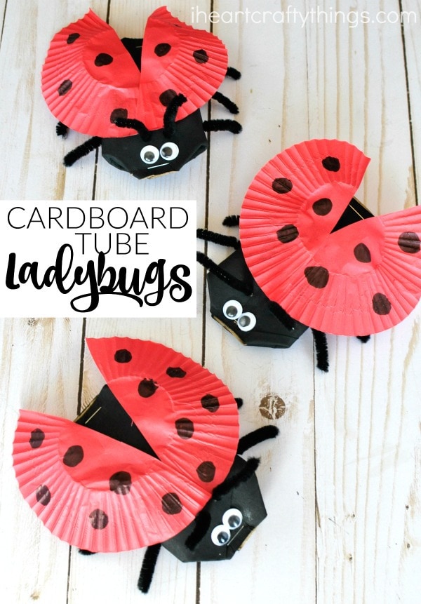 cardboard tube ladybug craft pin