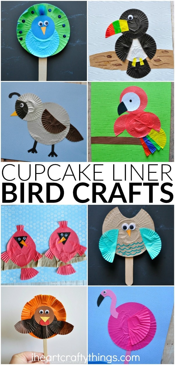 cupcake liner bird crafts