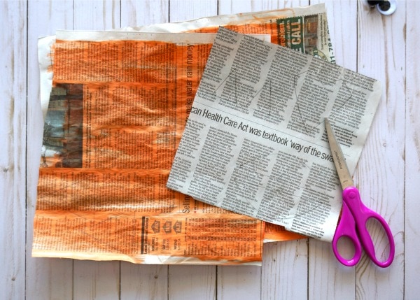 newspaper fox craft 3