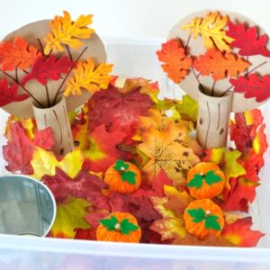 Explore and learn about the fall season with this beautiful fall sensory bin. Fun toddler learning activities, counting, colors and fine motor skills.