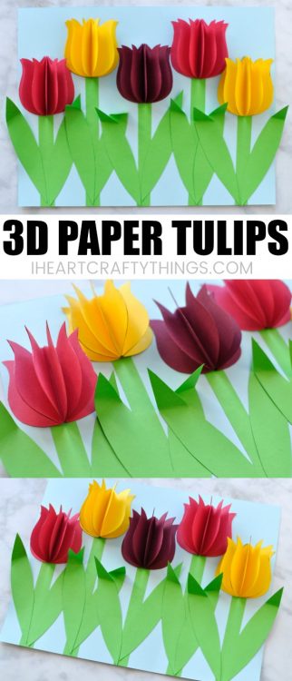 Gorgeous 3D Paper Tulip Flower Craft