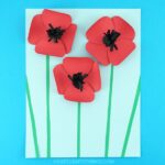 Learn how easy it is to make this simple paper poppies craft. The combination of the red flower petals popping of the page along with black strips coming out from the middle of the flowers gives this pretty paper poppies craft an awesome 3-dimensional effect. Great Remembrance Day Craft and Poppy Craft for kids.
