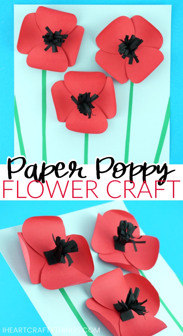 paper poppy craft 2