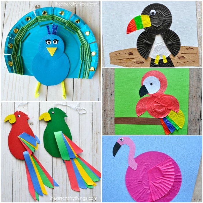 bird summer crafts 2