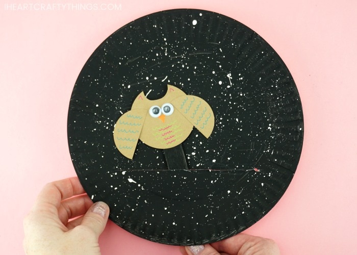 Reading Confetti: Paper Plate Owl Craft