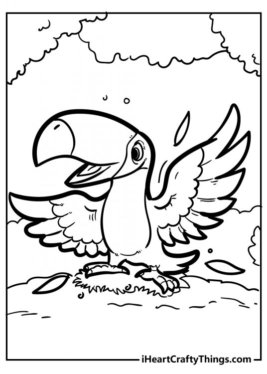 Bird coloring sheet featuring toucan waving his wings excitedly from on top of a patch of grass