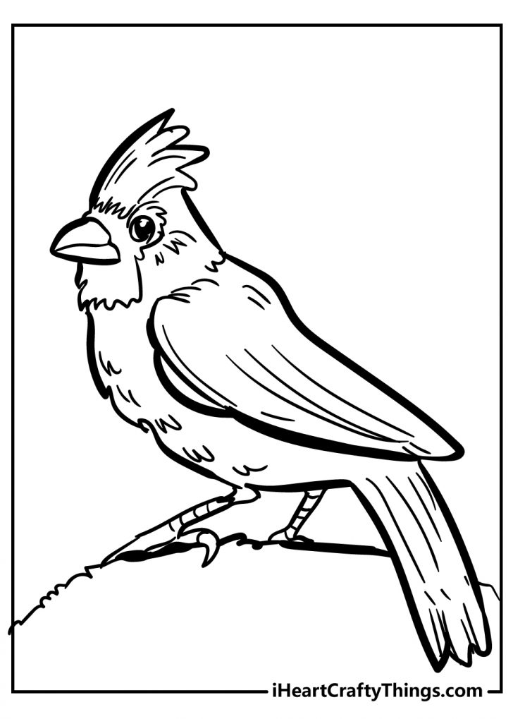 Unique Bird Coloring Pages (Updated 2022)