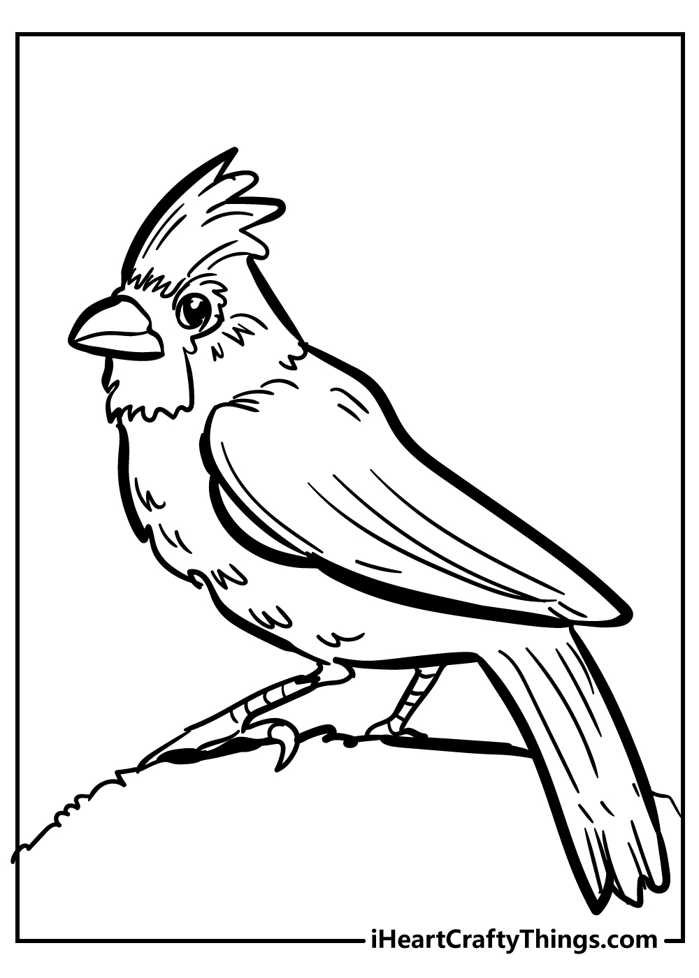 Bird Coloring Pages free pdf download