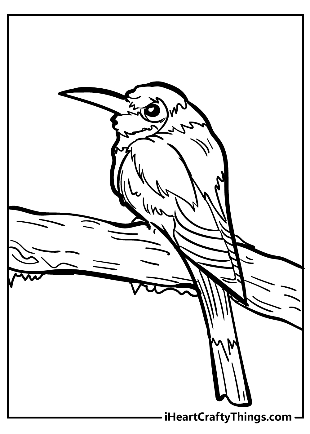 Bird Coloring Pages free pdf download