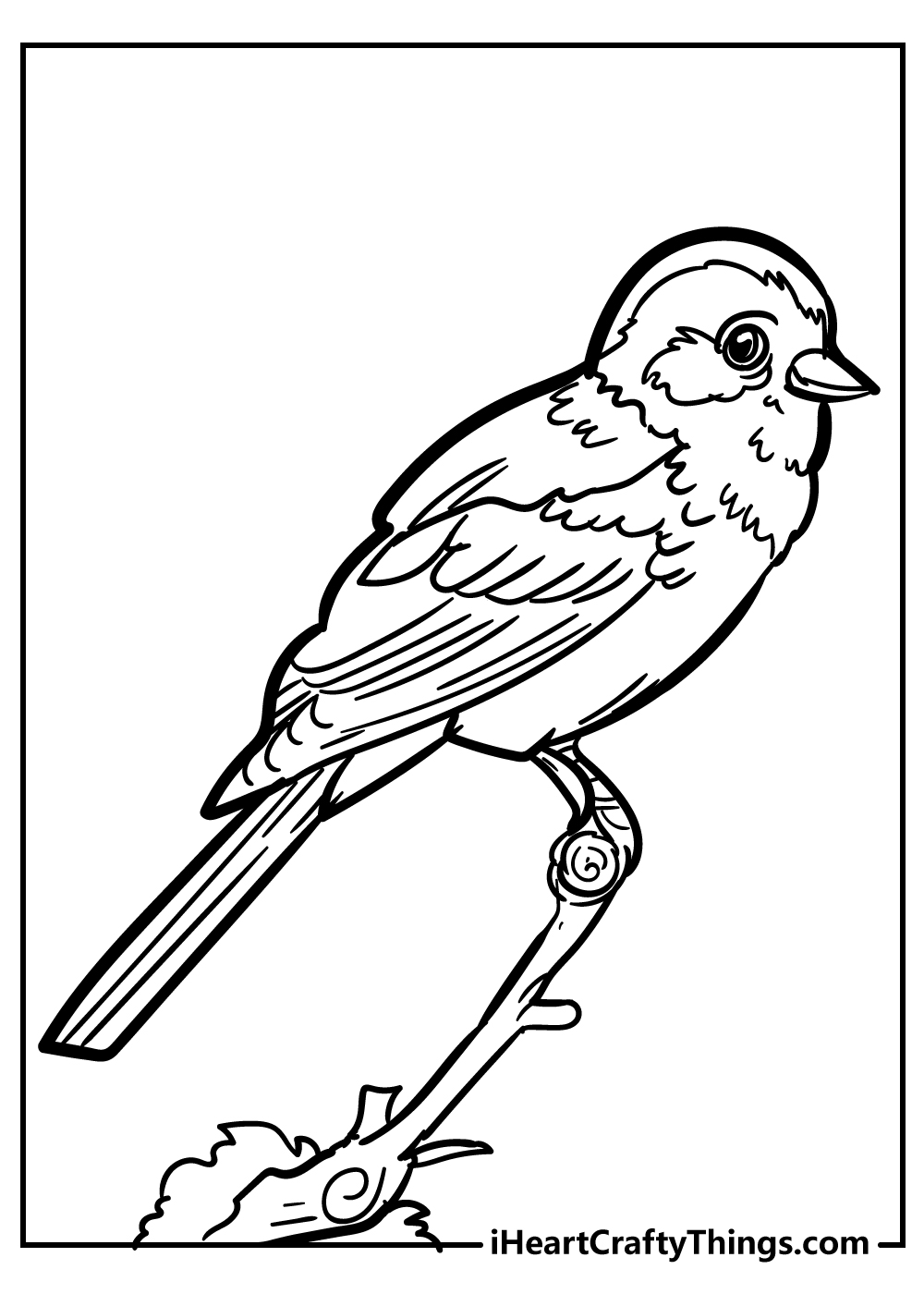 Bird Coloring Pages for preschoolers free printable