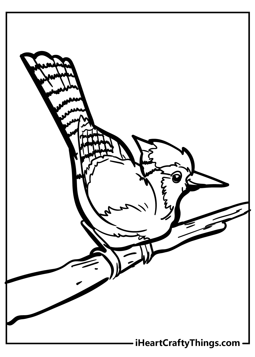 Bird Coloring Pages (100% Free Printables)