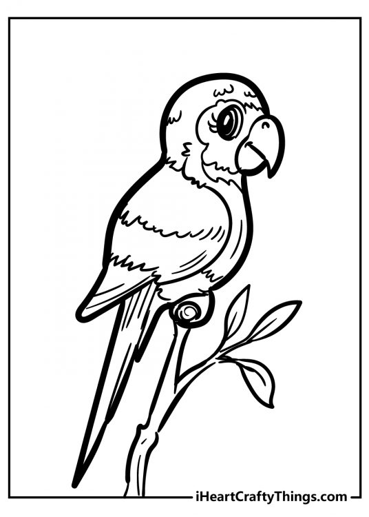 Printable pdf for kids presenting a bird with curved beak and very large round eyes