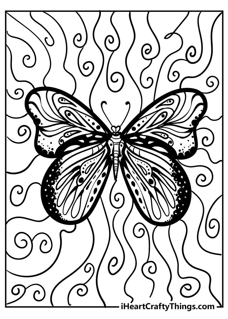 Butterfly coloring book page