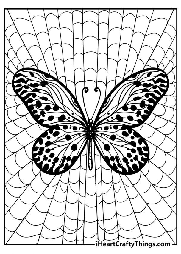 beautiful butterfly coloring pages