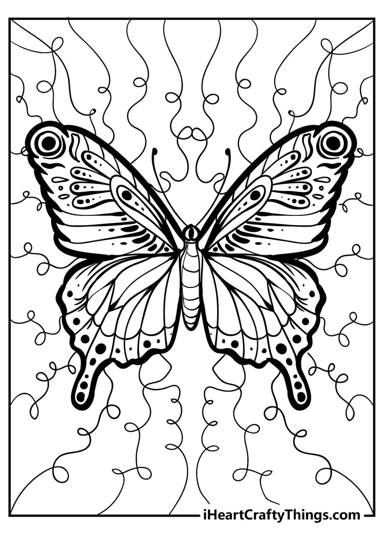 Realistic butterfly coloring page