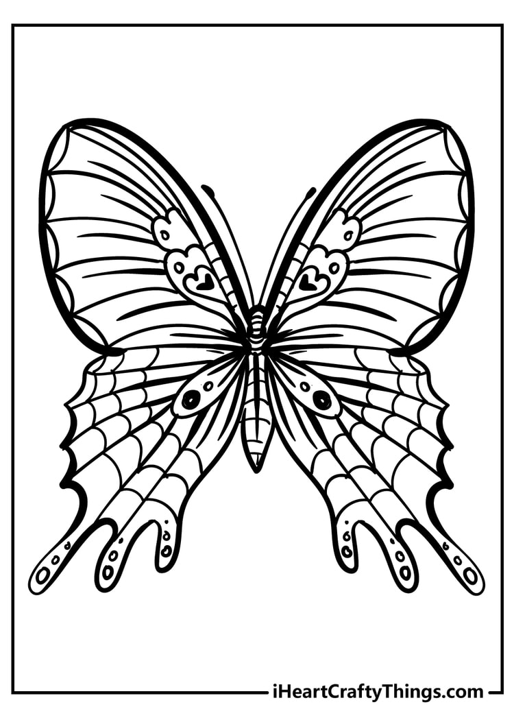 Unique butterfly coloring pages for adults