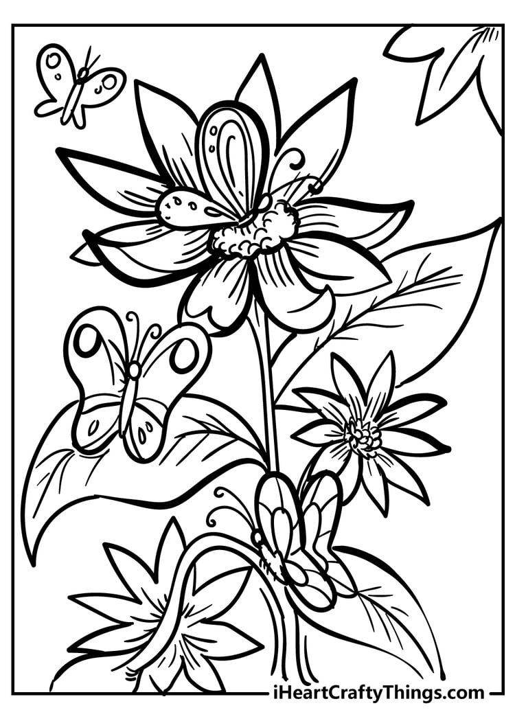 Butterfly Coloring Book For Adults: 85 Beautiful Flower Designs