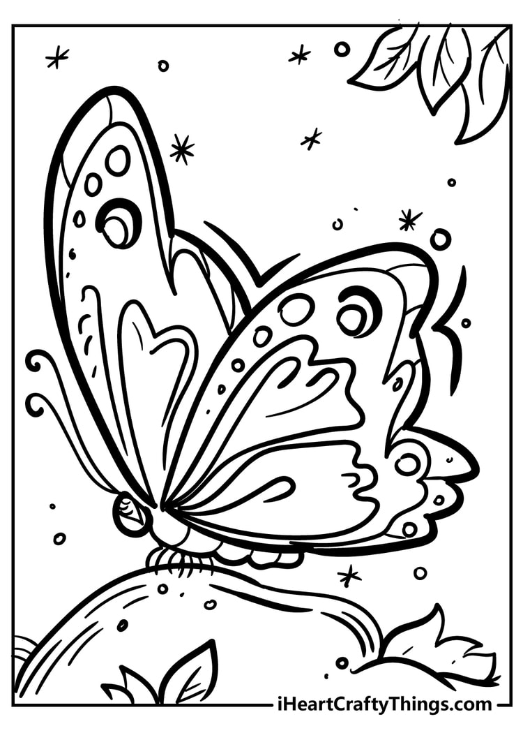 Free printable full size butterfly coloring page