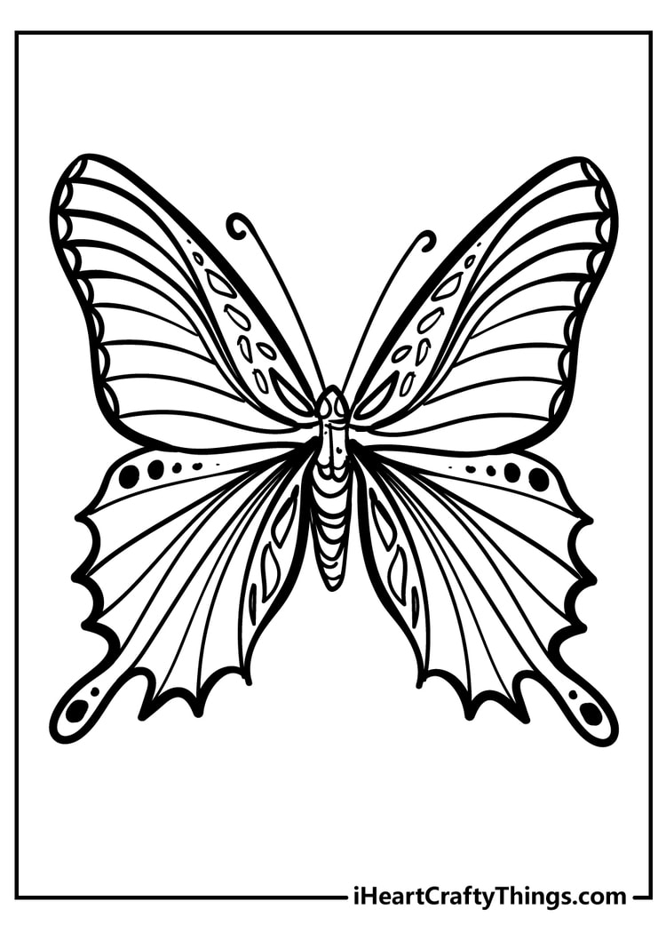 Difficult butterfly coloring pages