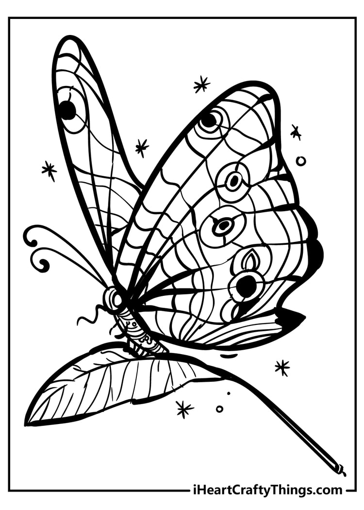 Butterfly on a flower coloring pages