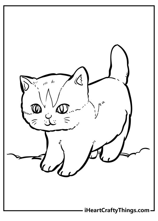 Cat-themed coloring sheet presenting adorable kitten with some markings on its fur